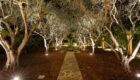 Cannes Villa Grand Jardin 53