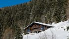 Chatel-Chalet-Neuf-du-Tenne-1