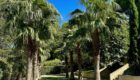 Cote d Azur villa cassis 39