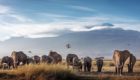 Serengeti-Legendary-Lodge-20