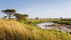 Serengeti-Mara-tented-camp-7