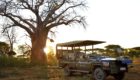 Serengeti-Pamushana-Lodge-33