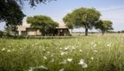 Serengeti-Sabora-tented-camp-3