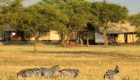 Serengeti-Sabora-tented-camp-4