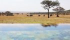 Serengeti-Serengeti-House-4