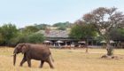 Serengeti-Serengeti-House-6