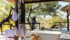 South-Africa-Boulders-Lodge-16