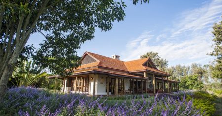 Legendary Lodge - Serengeti Luxury Accommodation