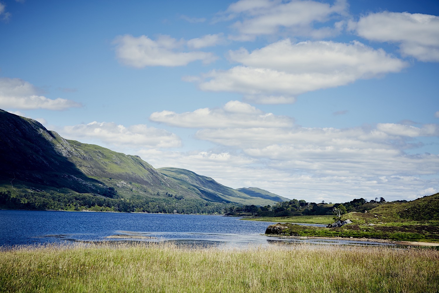 Glen Affric Estate