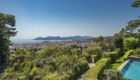 Cannes Villa Palm 13