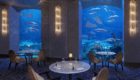 Dubai Hotel The Atlantis Palm Resort 35
