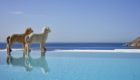 Greece-Mykonos-Hotel-Myconian-Royal-4