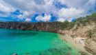 Thailand-Ani-Anguilla-25