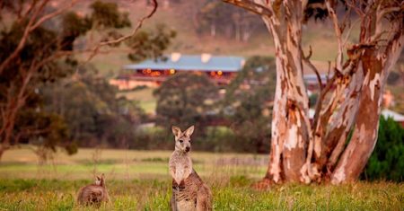 One&Only Wolgan Valley - New South Wales Luxury Accommodation