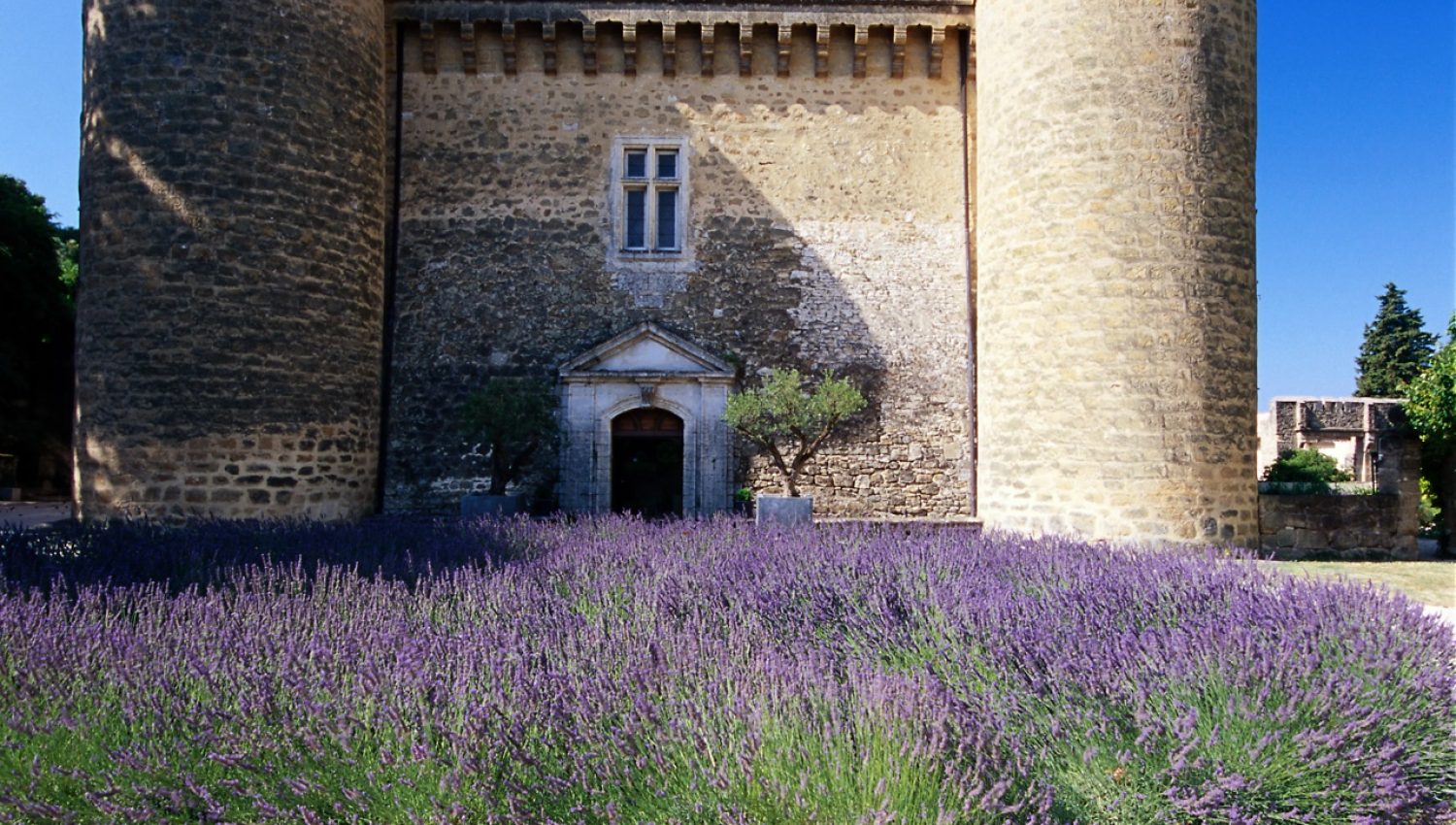 provence-chateau-de-massillan-1