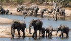 South-Africa-Ulusaba-Game-Reserve-18