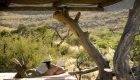 south-africa-tswalu-lodge-19